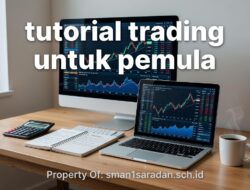 Review Jujur 5 Platform Trading Terbaik untuk Pemula 2024