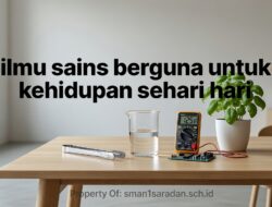 Review Jujur: Seberapa Berguna Sains untuk Kehidupan Sehari-hari?